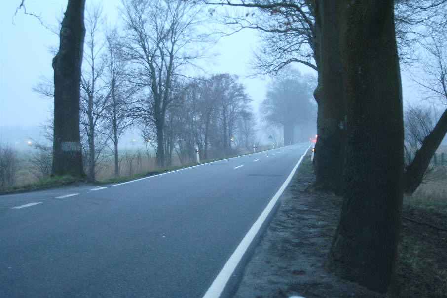  Verbindungsstraße zwischen Bannemin und Trassenheide