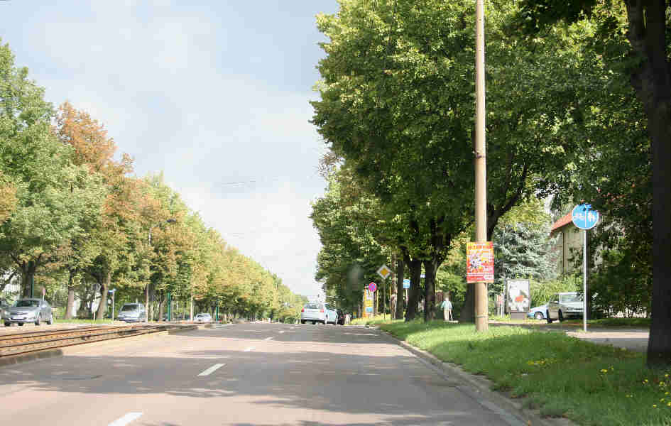 Geschwindigkeitsmessung Halle Merseburger Straße in Höhe Feldrain, Bunastraße