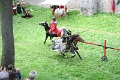 IMG_1554