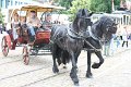IMG_6517