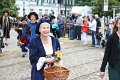 IMG_6550