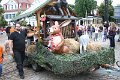 IMG_6616