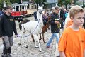 IMG_6621