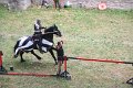 IMG_7388