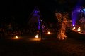 IMG_1046