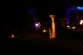 IMG_1068