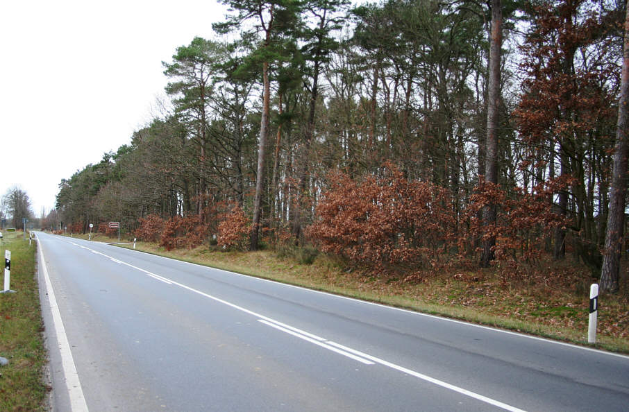 Geschwindigkeitskontrolle B 111 Höhe Koserow an der Abfahrt zum Forsthaus Dammerow