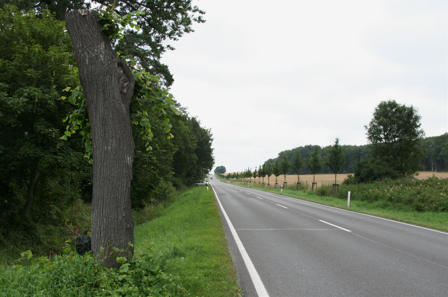 Geschwindigkeitsmessung B 96 zwischen Neubrandenburg und Neddemin in Höhe Neddemin-Bahnhof, Bitumen-, Betonwerk