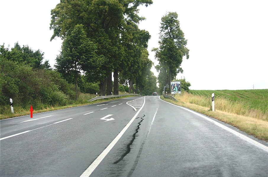 Blitzer, Weisding, Usadel, Blumenhagen, Blitzer im Gebüsch, Gebüsch, Gestrüp