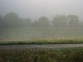 IMG00042